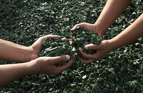 tangan, bekerja bersama-sama, kerjasama tim, hijau, Karet daur ulang, tangan manusia, memegang