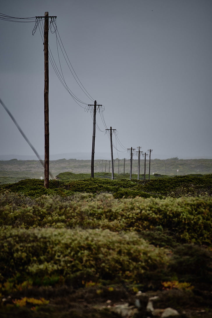 power lines, field, rural, power, electricity, energy, voltage