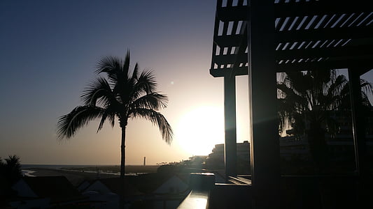 coucher de soleil, Fuerteventura, Palm, paire, vacances, voyage, Dim
