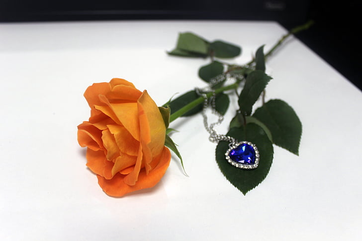 oranžové ruže, náhrdelník, ruže, kvet, darček, láska, dekorácie