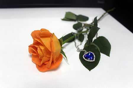 orange rose, necklace, rose, flower, gift, love, decoration
