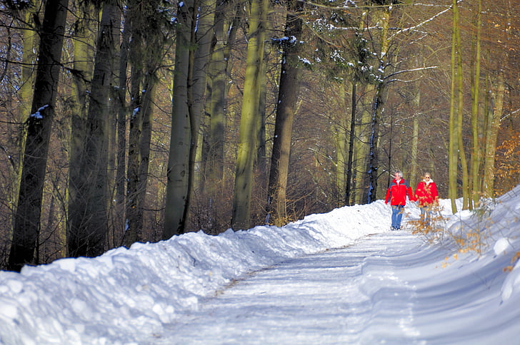 tuyết, đi bộ đường dài, du lịch, Thiên nhiên, lạnh, rừng, Cặp vợ chồng