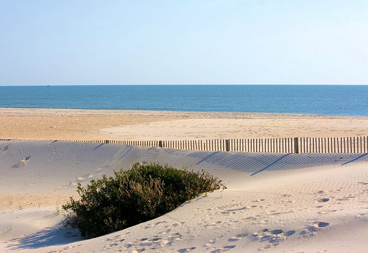 Plaża, windswept, kontroli erozji piasek, piasek płot, ocean Atlantycki, Wybrzeże, morze