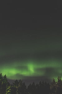Aurora, borealis, à noite, verde, espaço, estrelas, céu