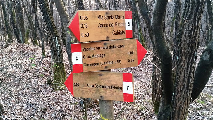 Brianza, hutan, kayu, tanda