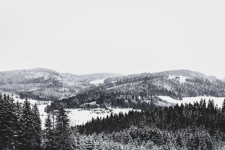 čierno-biele, Mountain, sneh, stromy, zimné, Príroda, Forest