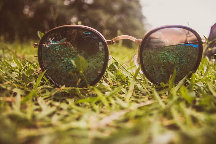 blur, camera, close-up, environment, eyeglasses, field, grass