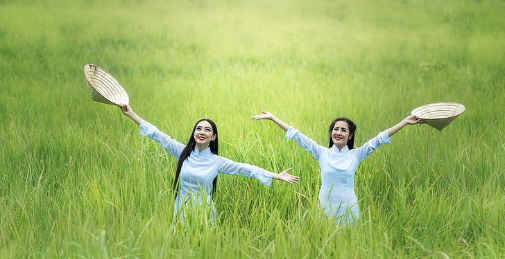 woman, rice, green, countryside, the country, dom, joy
