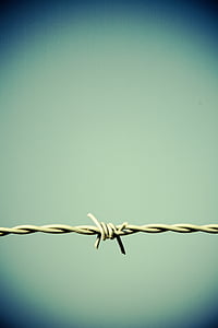 barbed wire, fence, border, metal, wire, thorn, verrostst