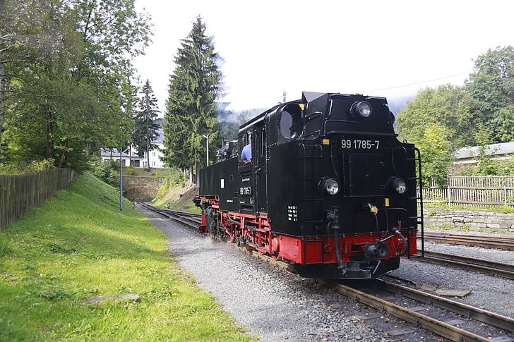 trem velho, Alemanha, locomotiva, floresta, ferroviária de bitola