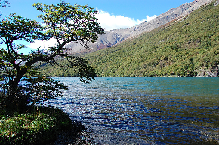 Lacul din deşert, Argentina patagonia, Lacul, natura, munte, apa, copac