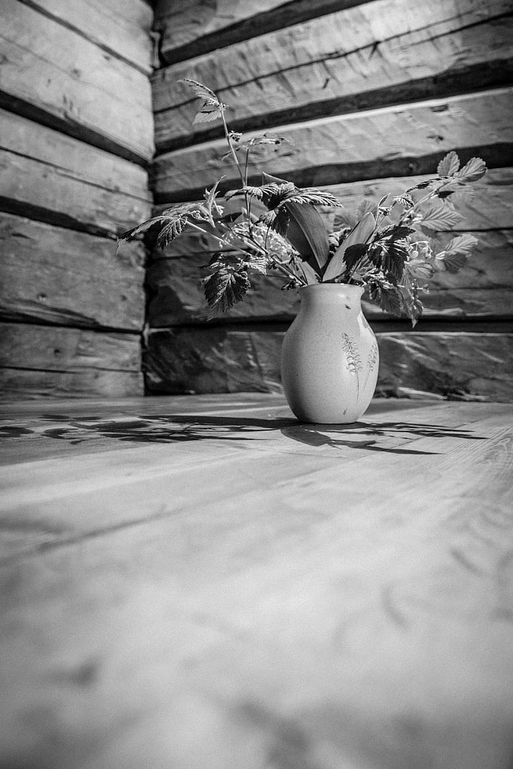Lăcrămioară, alb-negru, hambar din lemn, filtrate, frumos, fotografie, Tara