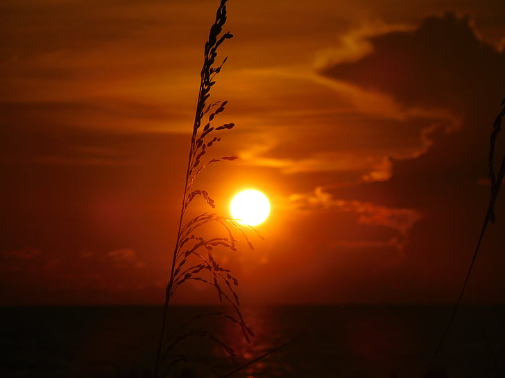 posta de sol, oceà, sol, cel de posta de sol, platja, l'aigua, llum del sol