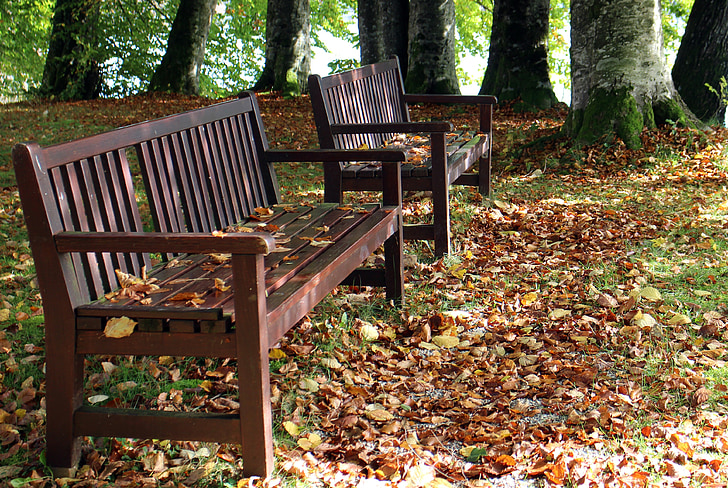 herfst, Bank, stoel, natuur, rest, uit, hout