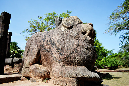 polonnaruwa, ruinene, gamle, historiske, kongen, slottet, buddhisme