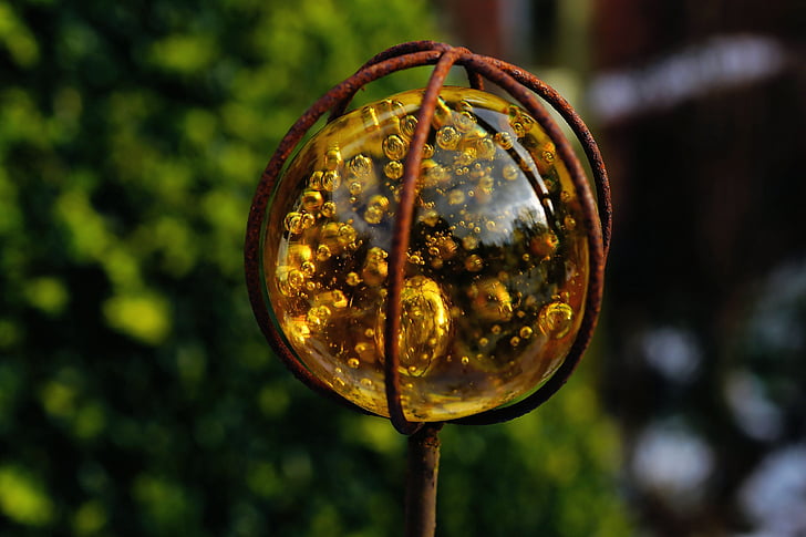 garden, glass ball, ornament, yellow, ball, reflection, eye catcher