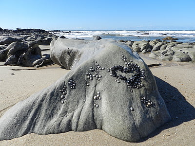 stone, mar, beach, sea, nature, coastline, sand