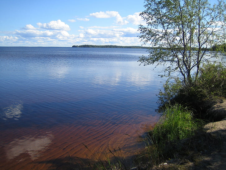 Danau, musim panas, Finlandia, liburan musim panas, pemandangan, air, alam foto