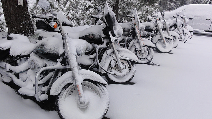 Harley davidson, moto, neige, neigeux, hiver, bloqués par la neige