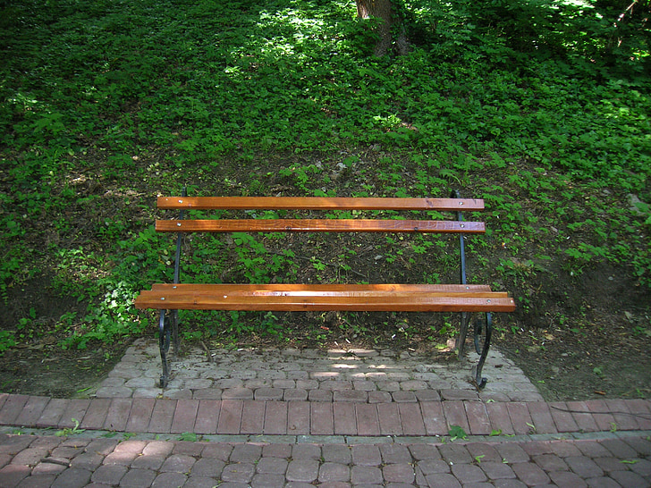 bench, park, nature, vacation, city park