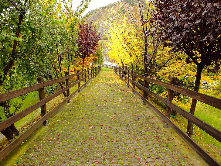 Italija, Valle d'Aosta, Aosta, Gran paradiso, Nacionalni park, jesen, lišće