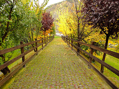Itálie, údolí Aosta, Aosta, Gran paradiso, Národní park, podzim, listy