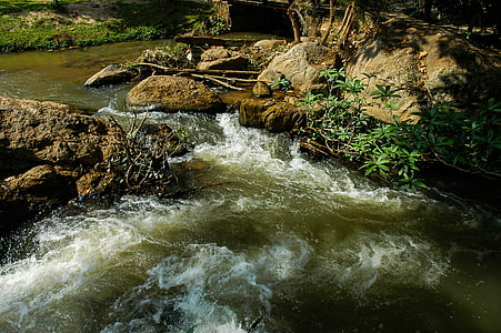 河道景观, 河, 流量, 水