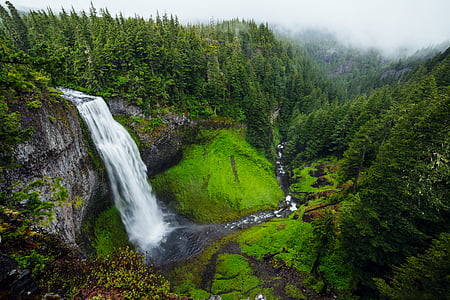 waterfalls, surrounded, trees, daytime, water, waterfall, green color