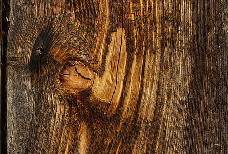 wood, board, structure, surface, old, background, cut off