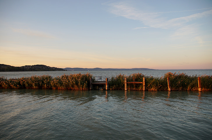 Lago, Balaton, canne, pilastro, crepuscolo, sera, tramonto