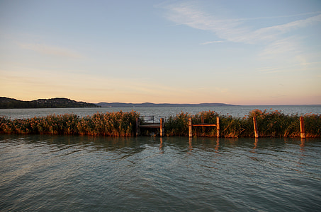 sjön, Balaton, vassen, pelaren, Twilight, kvällen, solnedgång