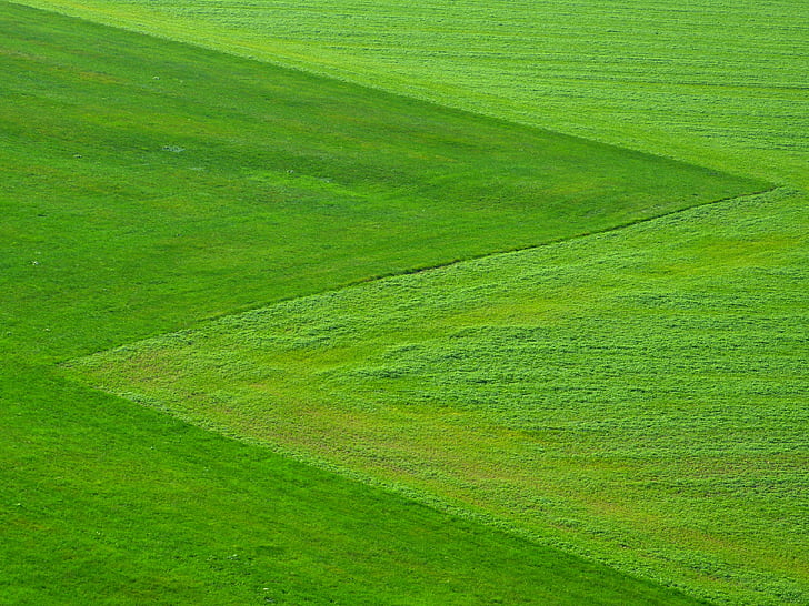 polje, trava, zelena, tla, krajine