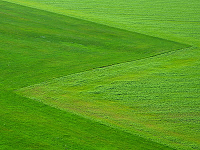 feltet, gresset, grønn, bakken, landskapet