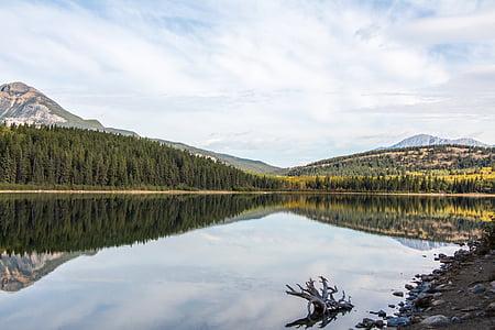 Patricia ezers, ezers, Džaspers, Kanāda, parks, Alberta, daba