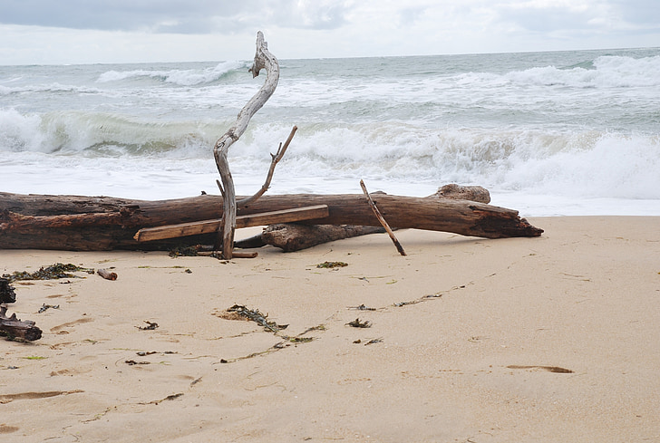 ocean, waves, beach, atlantic, scum, landscape, driftwood