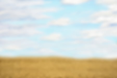 landscape, field, sky, clouds, summer, background, text dom