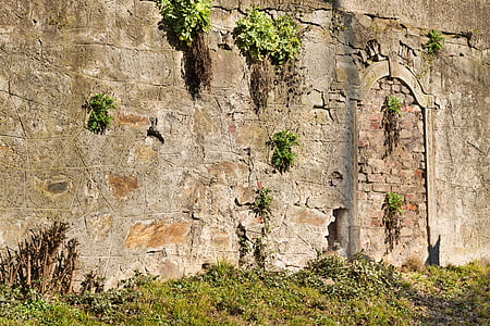 стена, Антик, стар, исторически, гол, крепост, архитектура