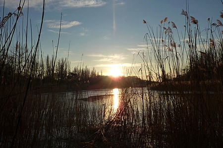 Západ slunce, rákosí, jezero, Příroda, pohoda, krajina
