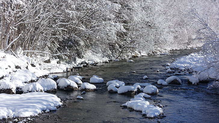 Inverno, neve, Bach, maduras, invernal, Allgäu, paisagem