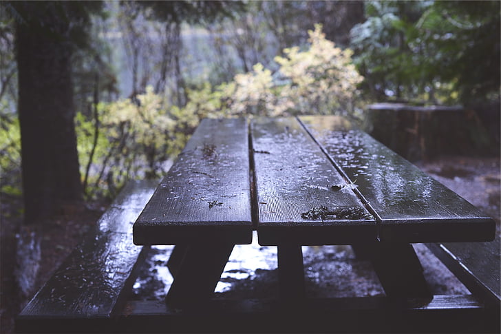 selective, focus, photography, black, wooden, table, near