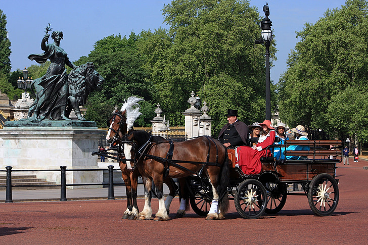 cavalls i carruatges, transport, cavall, cavalls, Londres, Anglaterra, vestit de vestit