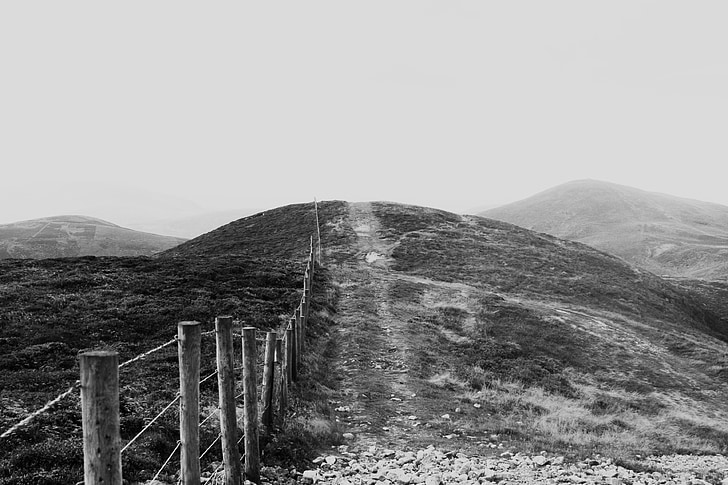 countryside, rural, black and white, fence, field, pathway, path