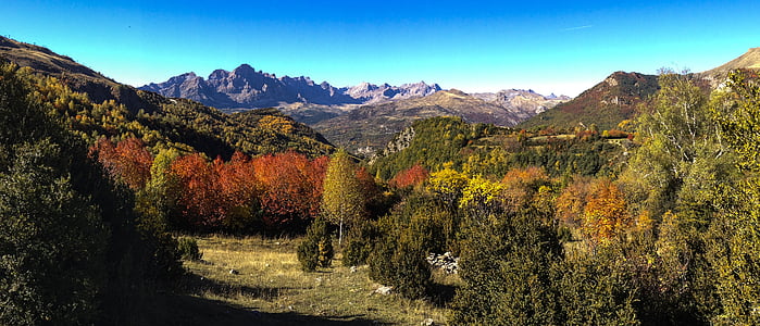 Panticosa, krajobraz, jesień, Natura, lasu, Huesca, wysokie góry