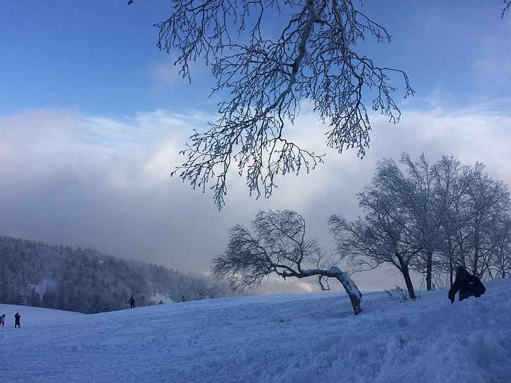 snow, winter, sky, mountain, foggy road