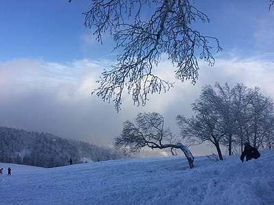 sne, vinter, Sky, Mountain, tåget road