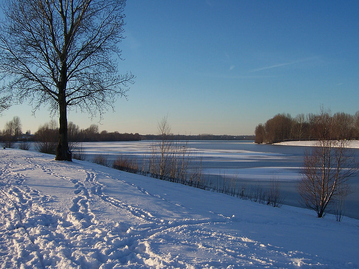 winter, snow, footprints, white, cold, lake, wintry