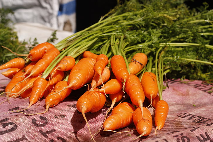 légume, jus de carotte, en plein air