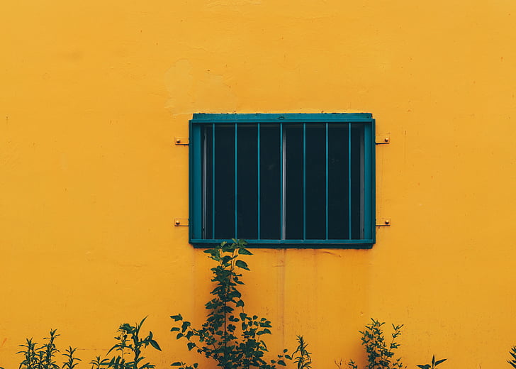 yellow, concrete, wall, plants, window