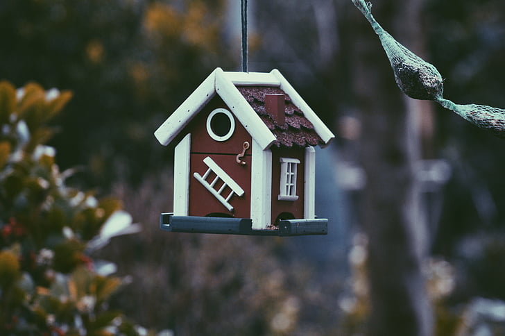 birdhouse, barva, vrt, visi, hiša, malo, na prostem
