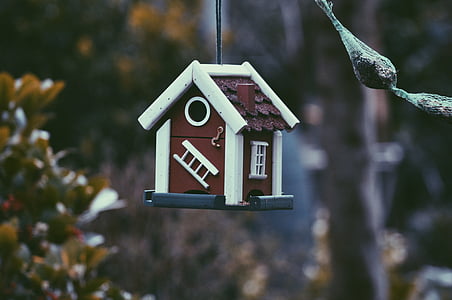 birdhouse, boja, vrt, vješanje, kuća, mali, na otvorenom